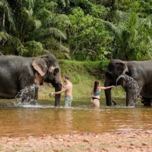 Khao Sok Elephant Bath