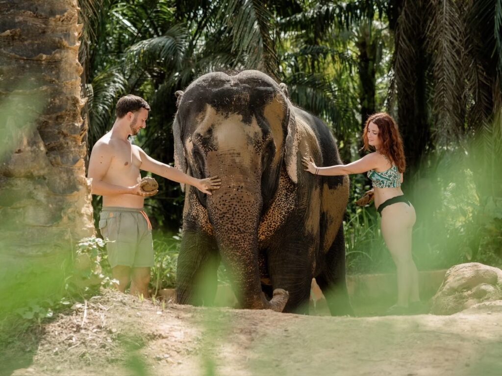 Khao Sok Elephant Bath
